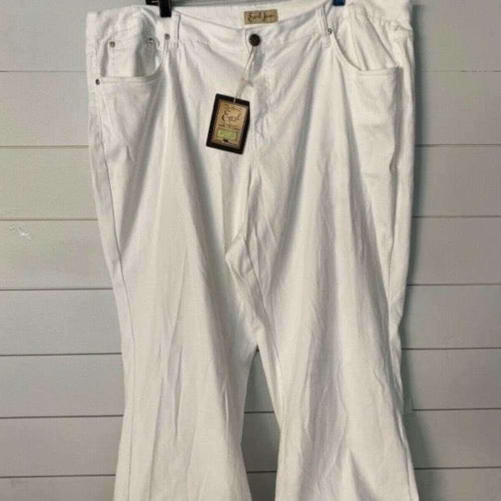 Earl Jean Straight Leg Woman's Jeans 24W